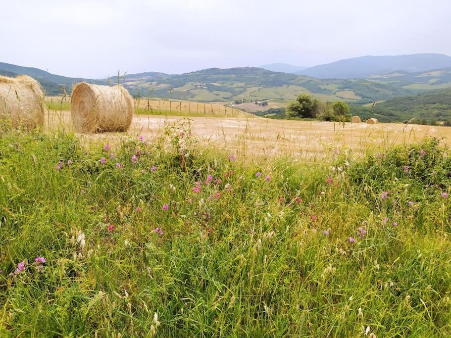 Casa Contadina In Borgo Medievale, Tuscany Monteguidi Luaran gambar